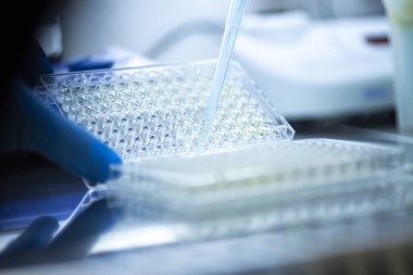 Tıp ve hücre kültürü laboratuarında hücre kültürü