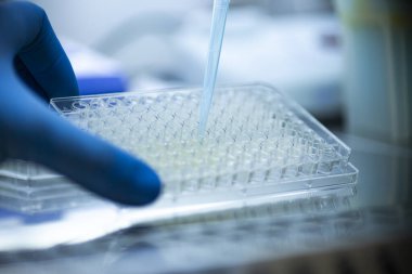 Tıp ve hücre kültürü laboratuarında hücre kültürü