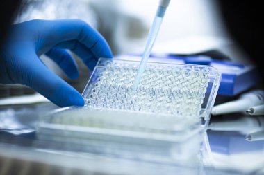 Tıp ve hücre kültürü laboratuarında hücre kültürü