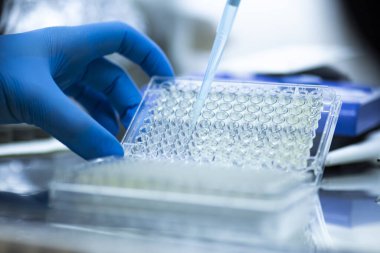 Tıp ve hücre kültürü laboratuarında hücre kültürü