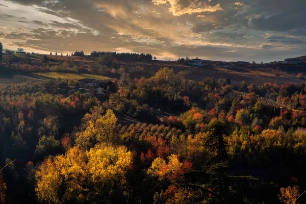 Kolory Langhe Jesienią Serralunga Alba Winnic Wzgórz Które Kolorowe Ciepłych — Zdjęcie stockowe