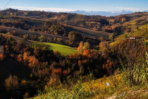 秋天在塞尔伦加德阿尔瓦的兰格人的颜色 葡萄园和山上的颜色都是温暖的 就像秋天一样 — 图库照片