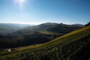 Piedmontese Langhe 'de sonbahar manzaraları Serralunga d' Alba yakınlarında, Piedmontese sonbaharının parlak renkleriyle