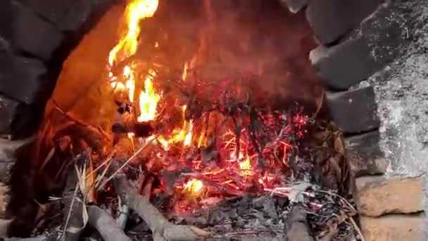 在燃烧木头的烤箱里燃烧木头的火的美丽效果 — 图库视频影像