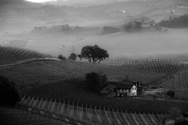Tájak Piemonte Langhe Fekete Fehér Szőlőültetvények Dombok Piedmont Tél 2023 — Stock Fotó