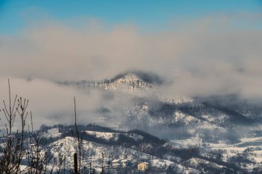 2023 kışında İtalya 'da ağaçlar karla kaplıydı.
