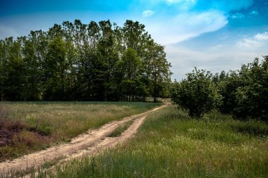 2023 ilkbaharında, Asti bölgesinin Piedmontese Elangh bölgesindeki Costigliole d 'Asti' deki güzel bahar manzaraları.
