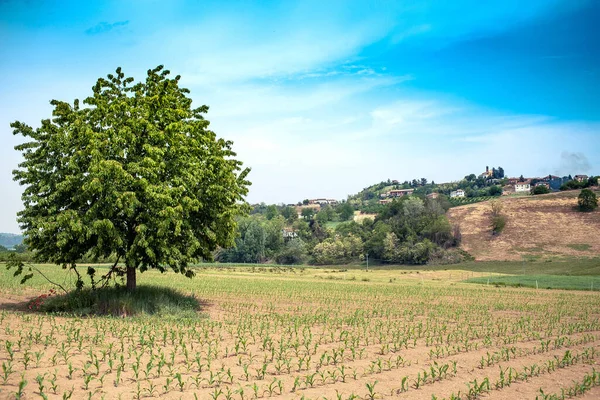 Prachtige Lente Landschappen Costigliole Asti Piemonte Langhe Van Asti Gebied — Stockfoto