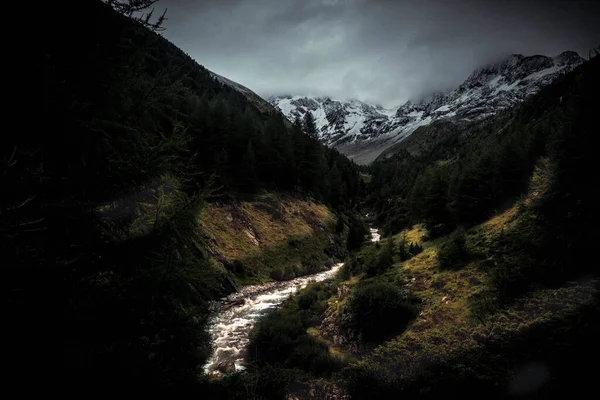 2023 yazında İsviçre sınırında, Valtellina 'daki Livigno' daki şelale ve derelerden oluşan muhteşem dağ manzaraları.