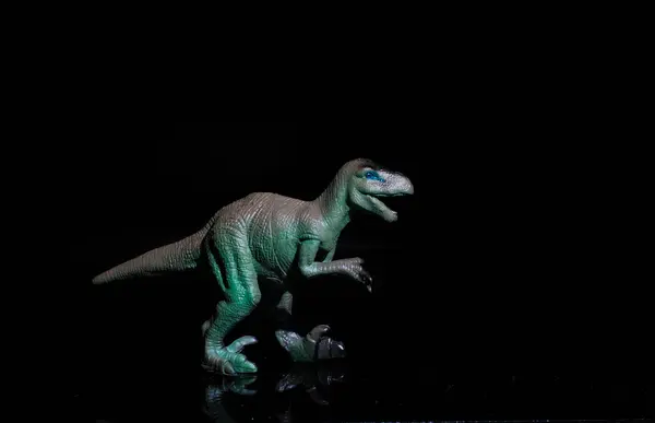 stock image Velociraptor is an extinct genus of dromaeosaurid dinosaur that lived in the Upper Cretaceous, approximately 75-71 million years ago. Hole on black background