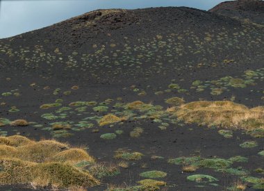 Etna bitkisi (ayrıca Mongibello olarak da bilinir) Sicilya 'nın Quaternary bölgesinden kaynaklanan ve Avrasya plakasının en yüksek etkin volkanıdır.