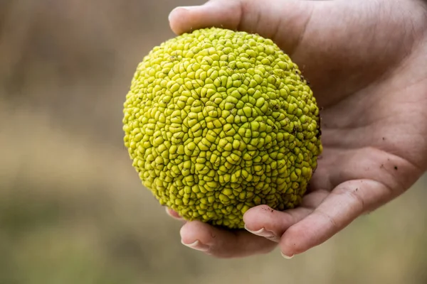Yerel halk gündüz pazarında yürüyor 