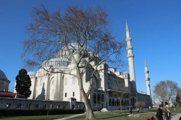 Süleyman Camii ağacın arkasına yerleştirildi