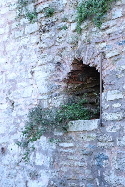 Çimlerin içinde ve içinde büyüyen parke taşından duvarın içinde küçük bir tünel.