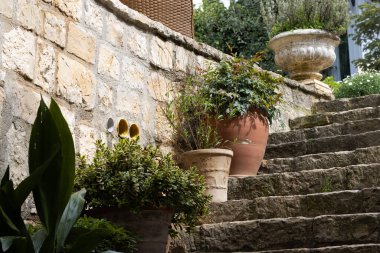 Arkalarında taş bir duvar olan bir merdivene saksı bitkisi yerleştirilmiş.