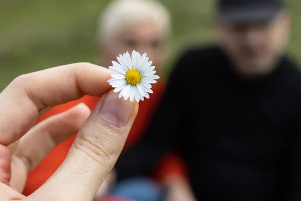 Pikniğe gelen bir çiftin önünde duran beyaz çiçek.