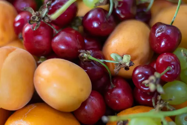 Bir kase vişneli ve kayısılı canlı meyve.