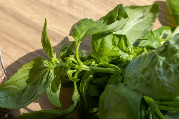 Tahta masanın üzerinde güneş ışığında yeşil fesleğen yapraklarının yakın plan çekimi