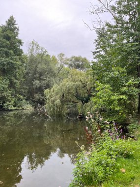 Parktaki nehrin güzel manzarası