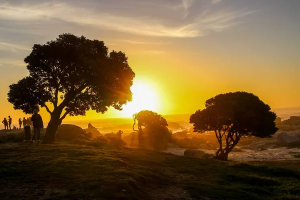 Pôr Sol Através Árvores Visitantes Praia Camp Bay Cidade Cabo — Fotografia de Stock