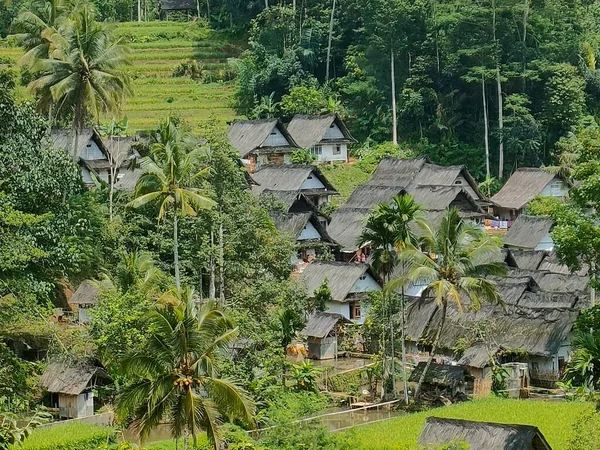 Habitação Kampung Naga Com Natureza Que Ainda Bonita — Fotografia de Stock