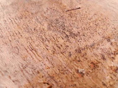 Ahşap zemin, soyut ahşap doku