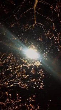 Şehir mimarisinin fotoğrafsal materyalleri