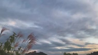 Doğa ve mimarinin fotoğrafsal materyalleri