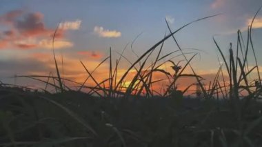 Doğa ve mimarinin fotoğrafsal materyalleri