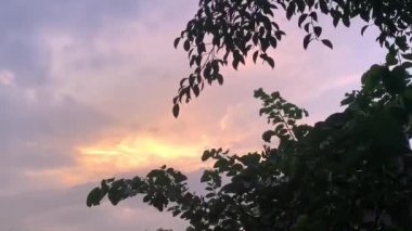 Doğa ve mimarinin fotoğrafsal materyalleri