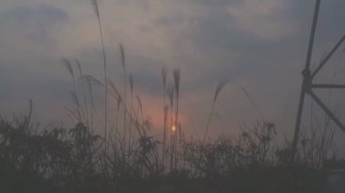 Doğa ve mimarinin fotoğrafsal materyalleri