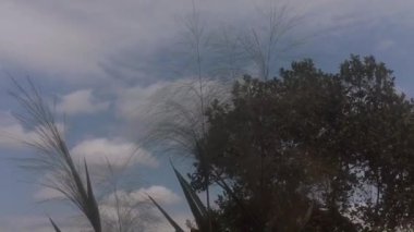 Gün doğumunun ve günbatımının fotoğrafsal materyalleri