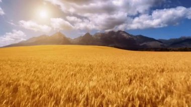 Doğa ve mimarinin fotoğrafsal materyalleri