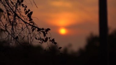 Hava Bulutu Fotoğraf Malzemeleri