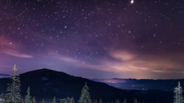 Karla kaplı yıldızlı gökyüzü köknar ağaçları. yıldızlı sihirli arkaplan.