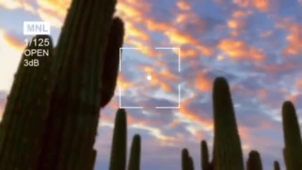Fotomaterial Von Sonnenaufgang Und Sonnenuntergang — Stockvideo