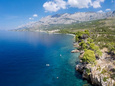 Kristal berraklığında, Adriyatik Denizi 'nin turkuaz koyunda Hırvatistan' ın Istria kentindeki Cape Kamenjak 'ın arka planında yeşil çamlar ve kayalar bulunuyor..