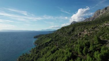 Hırvatistan 'ın doğal kayalık plajı, Hırvatistan' ın Pula kentinde Akdeniz tatil beldesi, Adriyatik Denizi, Hırvatistan kıyılarında tatil. Yüksek kalite 4k görüntü