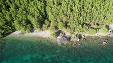 Hırvatistan 'ın doğal kayalık plajı, Hırvatistan' ın Pula kentinde Akdeniz tatil beldesi, Adriyatik Denizi, Hırvatistan kıyılarında tatil. Yüksek kalite 4k görüntü