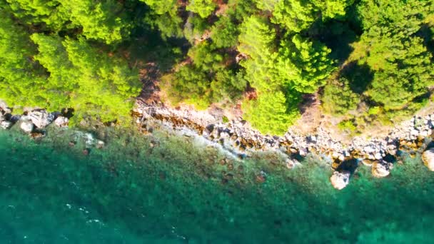 Hırvatistan Doğal Kayalık Plajı Hırvatistan Pula Kentinde Akdeniz Tatil Beldesi — Stok video