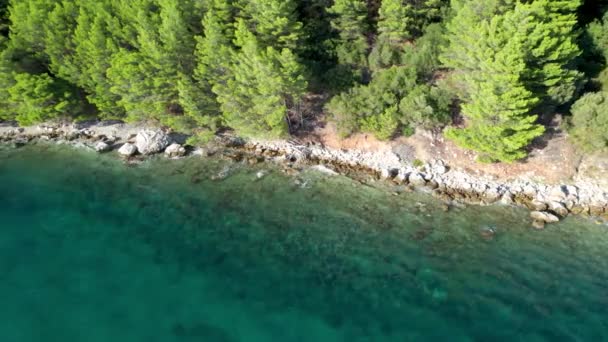 Αεροφωτογραφία Όμορφης Ακτής Της Κροατίας Νησί Hvar Βραχώδης Παραλία Πεντακάθαρη — Αρχείο Βίντεο