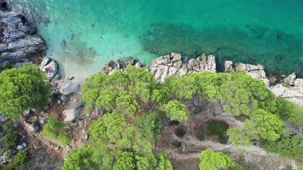 クロアチアの天然岩のビーチ クロアチアの地中海の休日の目的地 アドリア海 クロアチアの海岸での休暇 高品質4K映像 — ストック動画