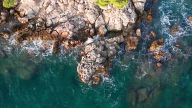 Hırvatistan 'ın Hvar adasındaki Malinska' da Idyllic turkuaz plaj havadan manzarası