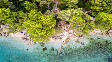 Hırvatistan 'ın Igrane kenti yakınlarındaki Rocky plajının sahil manzarası