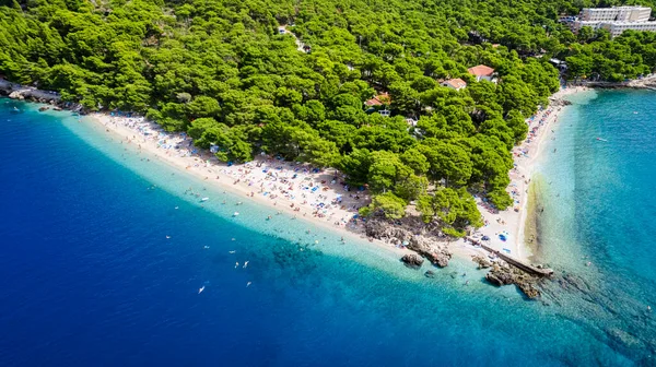 Παραλία Της Κροατίας Στην Μπρέλα Προς Μακάρσκα Ριβιέρα Δαλματία — Φωτογραφία Αρχείου