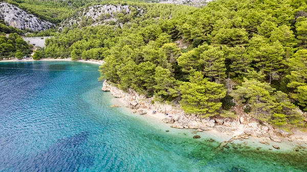 Croazia Spiaggia Veduta Aerea Della Spiaggia Rocciosa Vicino Igrane Croazia — Foto Stock