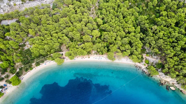 Hırvatistan 'ın Igrane kenti yakınlarındaki Rocky plajının sahil manzarası