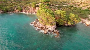 Kum plajı ağacı ve okyanus üzerindeki hava manzarası