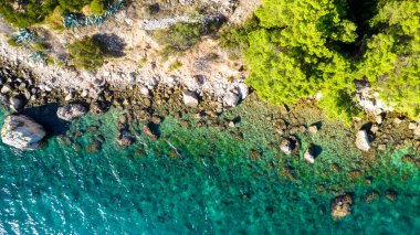 Hırvatistan 'ın Dalmaçya kentinin Brela kasabası yakınlarındaki güzel sahil. Makarska Riviera, Avrupa 'nın ünlü simgesi ve turistik beldesi