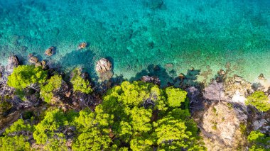 güzel masmavi mavi Akdeniz sahil Hırvatistan yeşil ağaçları ile çevrili